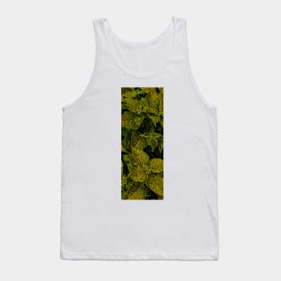 Green coleus leaves Tank Top